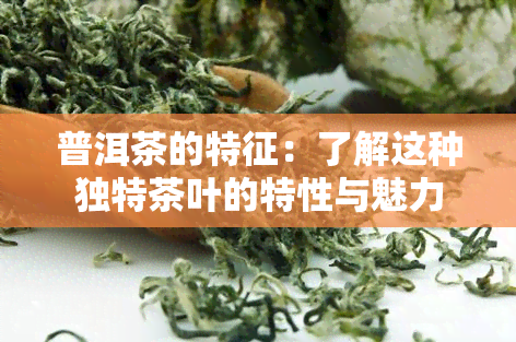 普洱茶的特征：了解这种独特茶叶的特性与魅力