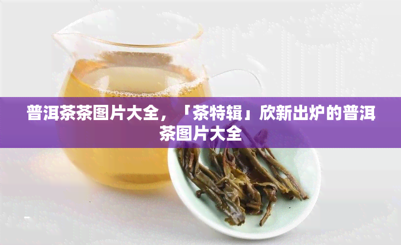 普洱茶茶图片大全，「茶特辑」欣新出炉的普洱茶图片大全