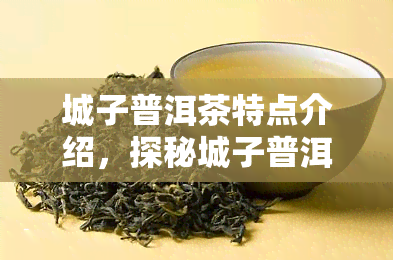 城子普洱茶特点介绍，探秘城子普洱茶的独特魅力：特点全面解析