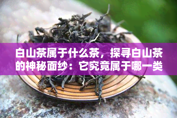 白山茶属于什么茶，探寻白山茶的神秘面纱：它究竟属于哪一类茶？