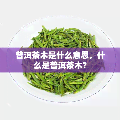 普洱茶木是什么意思，什么是普洱茶木？