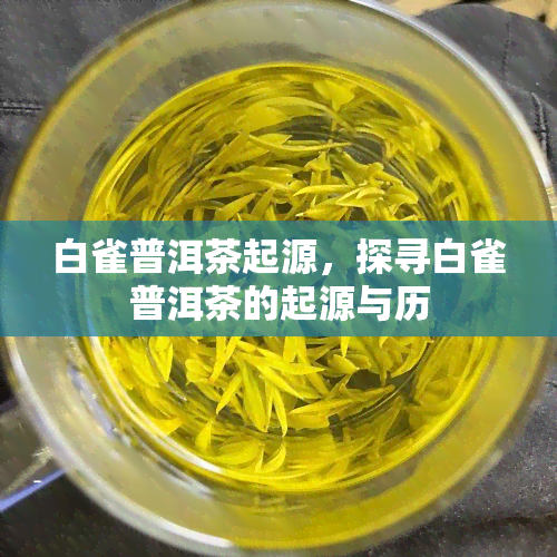 白雀普洱茶起源，探寻白雀普洱茶的起源与历