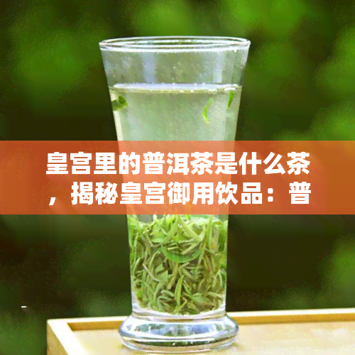 皇宫里的普洱茶是什么茶，揭秘皇宫御用饮品：普洱茶的魅力与故事