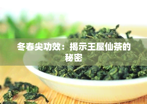 冬春尖功效：揭示王屋仙茶的秘密