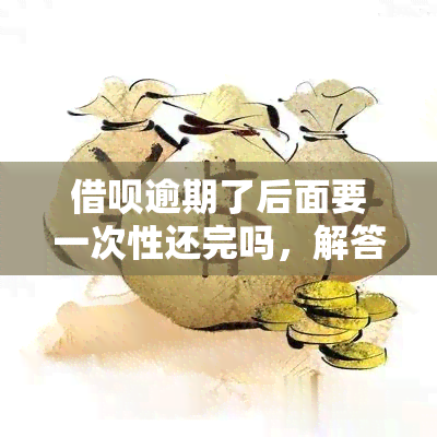 借呗逾期了后面要一次性还完吗，解答疑惑：借呗逾期后是否需要一次性还清？