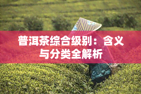 普洱茶综合级别：含义与分类全解析