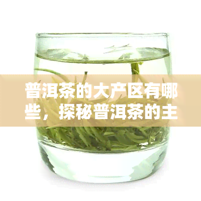 普洱茶的大产区有哪些，探秘普洱茶的主产区：一场味蕾与文化的旅行