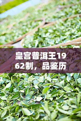 皇宫普洱王1962制，品鉴历韵味：皇宫普洱王1962制的魅力与故事