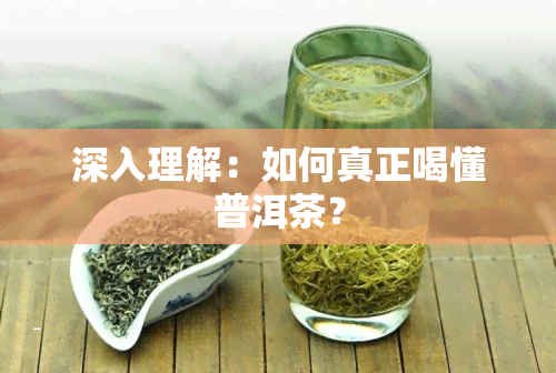 深入理解：如何真正喝懂普洱茶？