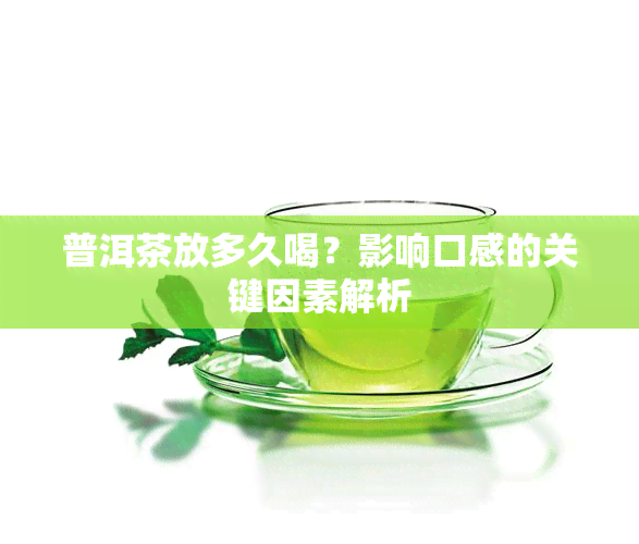 普洱茶放多久喝？影响口感的关键因素解析