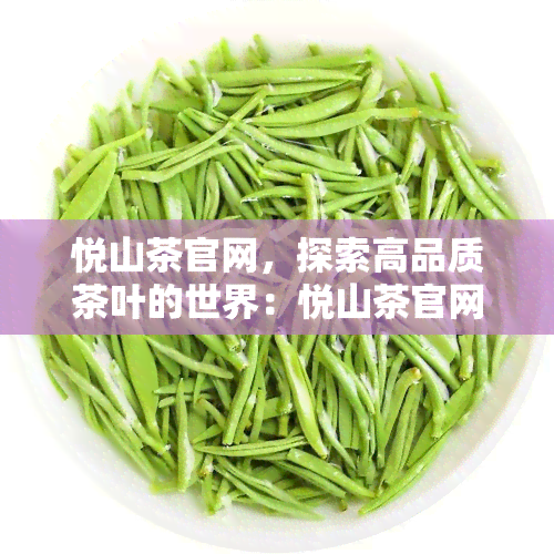 悦山茶官网，探索高品质茶叶的世界：悦山茶官网上线！