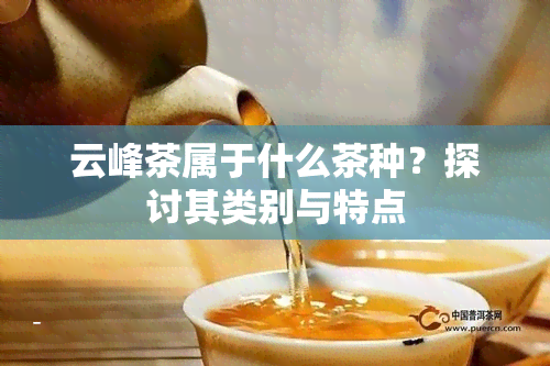 云峰茶属于什么茶种？探讨其类别与特点