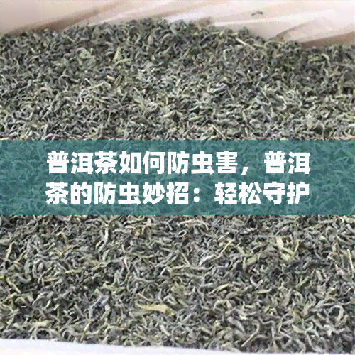 普洱茶如何防虫害，普洱茶的防虫妙招：轻松守护你的茶宠！