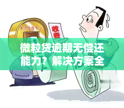 微粒贷逾期无偿还能力？解决方案全在这里！