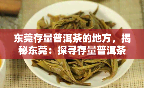 东莞存量普洱茶的地方，揭秘东莞：探寻存量普洱茶的独特魅力之地