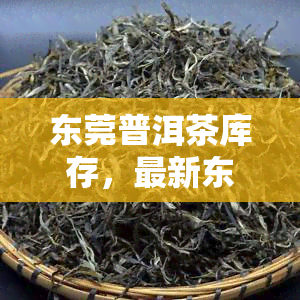 东莞普洱茶库存，最新东莞普洱茶库存信息，一网打尽！