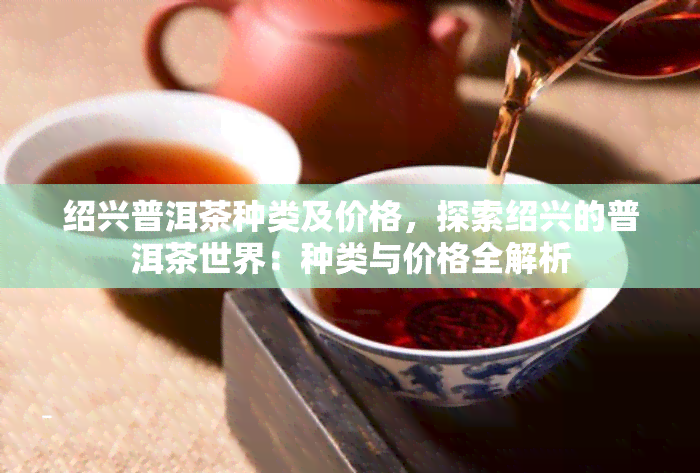 绍兴普洱茶种类及价格，探索绍兴的普洱茶世界：种类与价格全解析