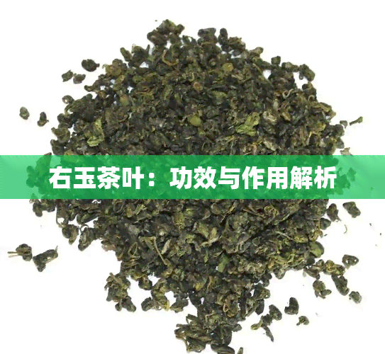 右玉茶叶：功效与作用解析