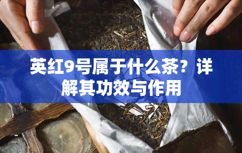 英红9号属于什么茶？详解其功效与作用