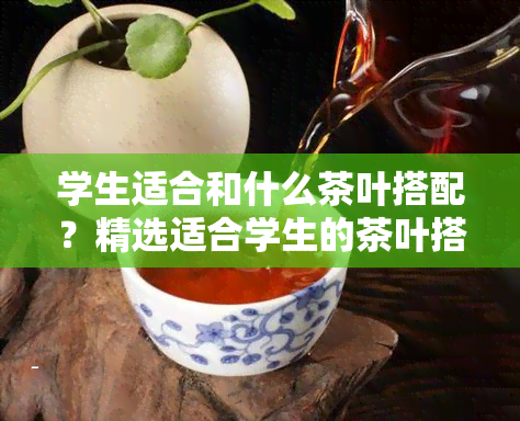 学生适合和什么茶叶搭配？精选适合学生的茶叶搭配方案