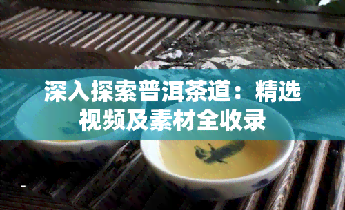 深入探索普洱茶道：精选视频及素材全收录