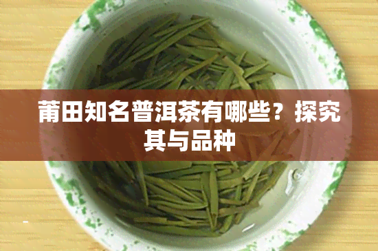 莆田知名普洱茶有哪些？探究其与品种