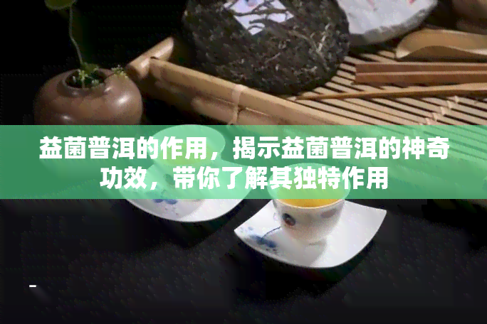 益菌普洱的作用，揭示益菌普洱的神奇功效，带你了解其独特作用