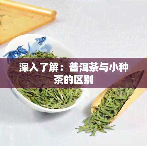 深入了解：普洱茶与小种茶的区别