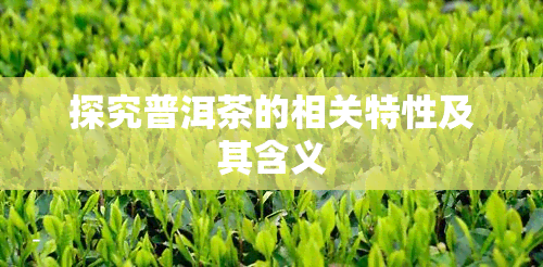 探究普洱茶的相关特性及其含义