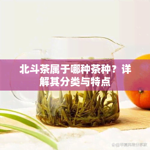 北斗茶属于哪种茶种？详解其分类与特点