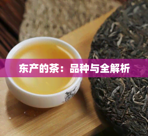 东产的茶：品种与全解析