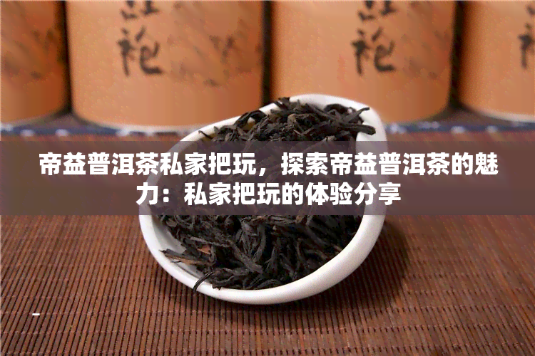 帝益普洱茶私家把玩，探索帝益普洱茶的魅力：私家把玩的体验分享