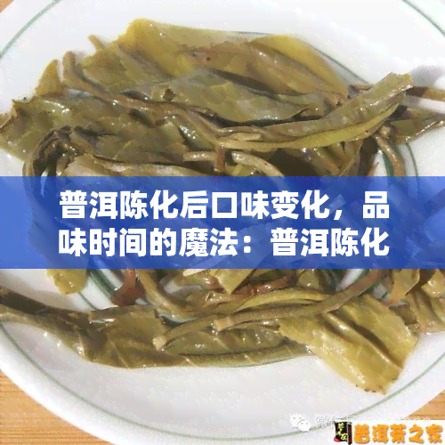 普洱陈化后口味变化，品味时间的魔法：普洱陈化后的独特口感变化