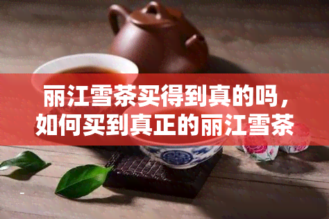 丽江雪茶买得到真的吗，如何买到真正的丽江雪茶？