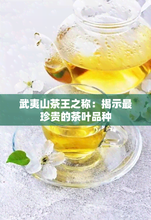 武夷山茶王之称：揭示最珍贵的茶叶品种