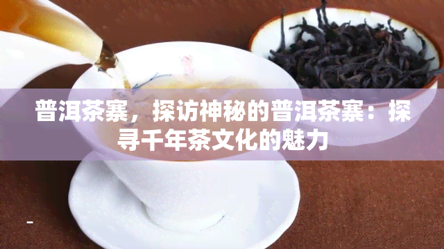 普洱茶寨，探访神秘的普洱茶寨：探寻千年茶文化的魅力