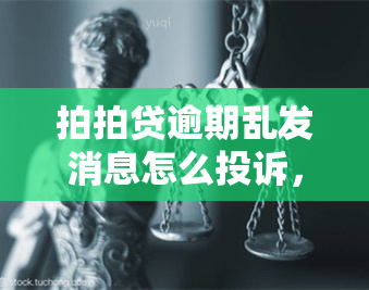 拍拍贷逾期乱发消息怎么投诉，如何投诉拍拍贷逾期时的乱发消息行为？