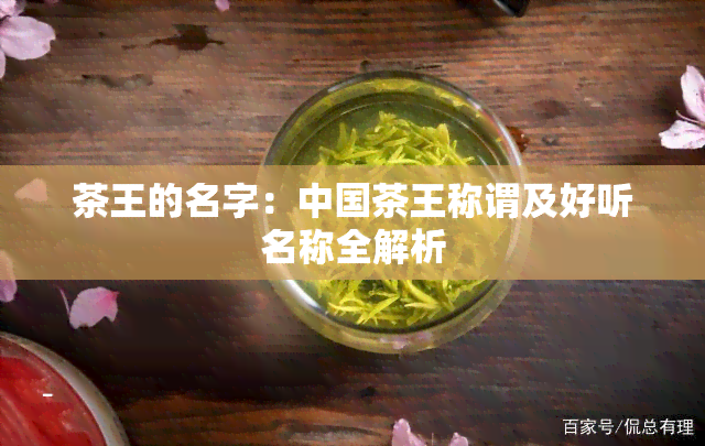 茶王的名字：中国茶王称谓及好听名称全解析