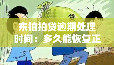 东拍拍贷逾期处理时间：多久能恢复正常？影响再次贷款吗？