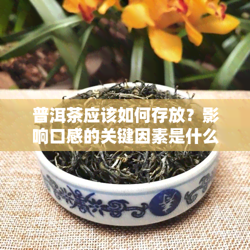 普洱茶应该如何存放？影响口感的关键因素是什么？