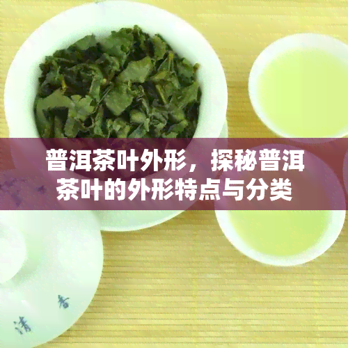 普洱茶叶外形，探秘普洱茶叶的外形特点与分类