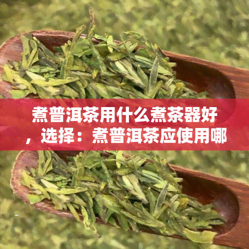 煮普洱茶用什么煮茶器好，选择：煮普洱茶应使用哪种煮茶器？