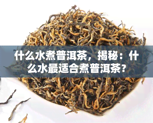 什么水煮普洱茶，揭秘：什么水最适合煮普洱茶？