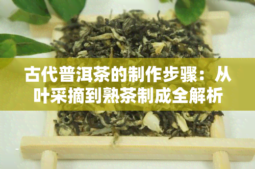 古代普洱茶的制作步骤：从叶采摘到熟茶制成全解析