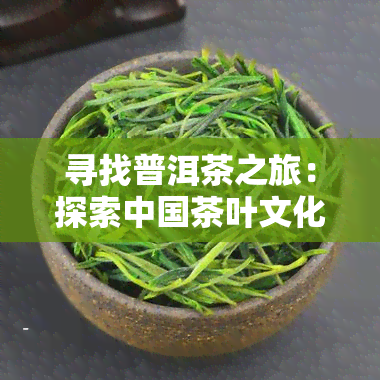 寻找普洱茶之旅：探索中国茶叶文化