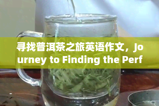 寻找普洱茶之旅英语作文，Journey to Finding the Perfect Pu'er Tea: An English Composition