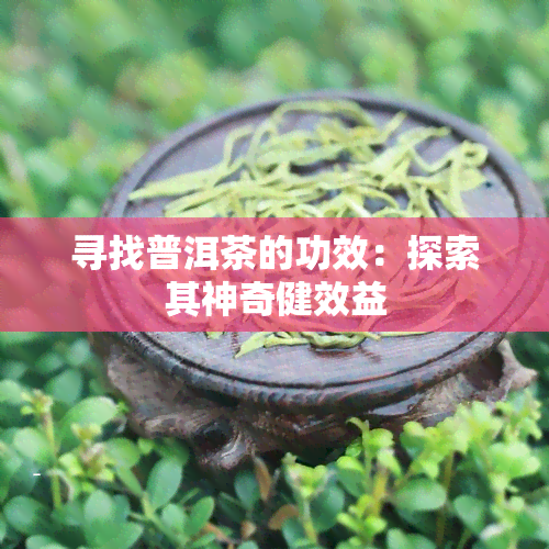 寻找普洱茶的功效：探索其神奇健效益