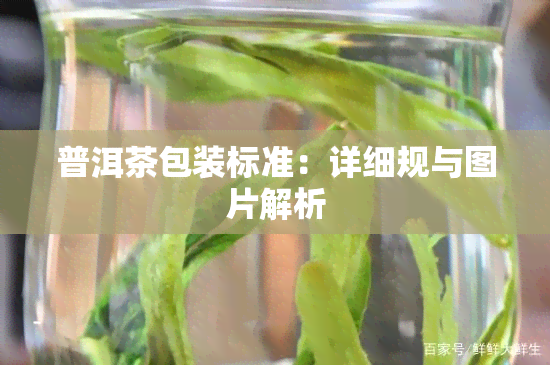 普洱茶包装标准：详细规与图片解析