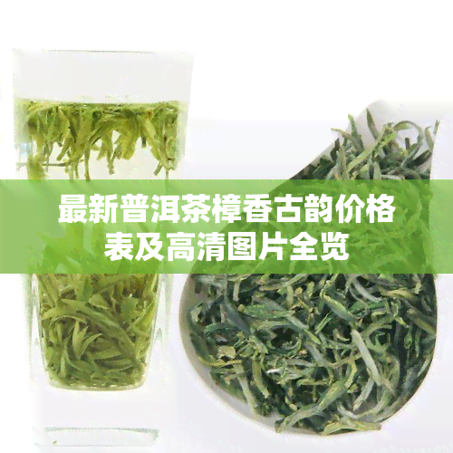 最新普洱茶樟香古韵价格表及高清图片全览