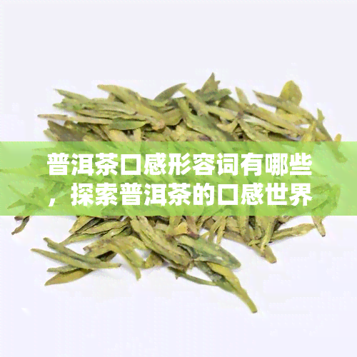 普洱茶口感形容词有哪些，探索普洱茶的口感世界：常用形容词解析